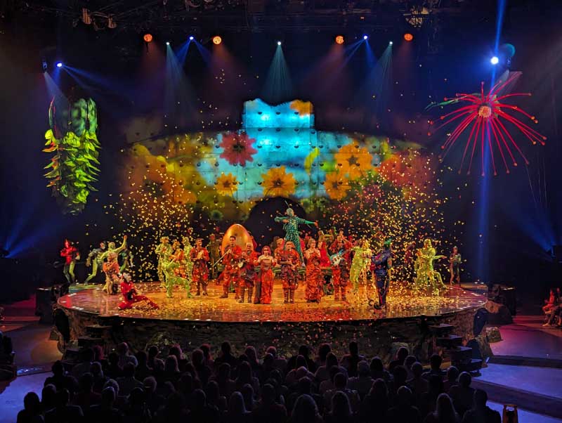 Review Cirque du Soleil's OVO