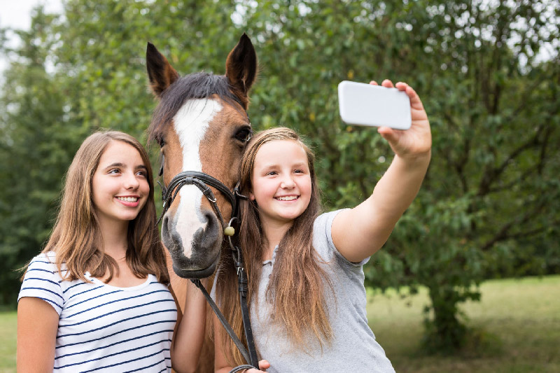 Summer Road Trip: Discover Kentucky's Fun and Quirky Spots!