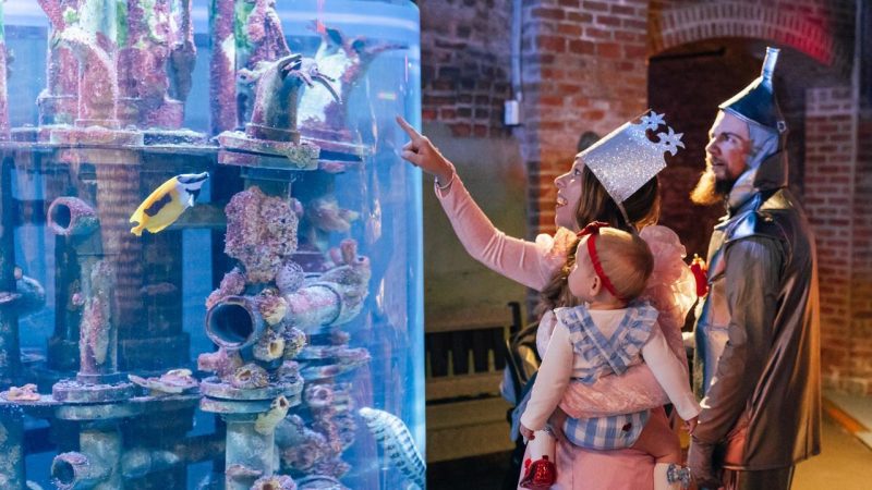 cleveland aquarium halloween