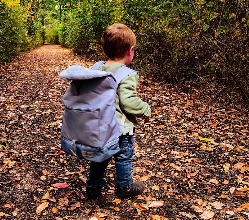 miniware review my firest pac pac shark fin backpack for kids