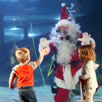 Cleveland Aquarium Christmas event picture with Santa Claus Cleveland Akron Ohio