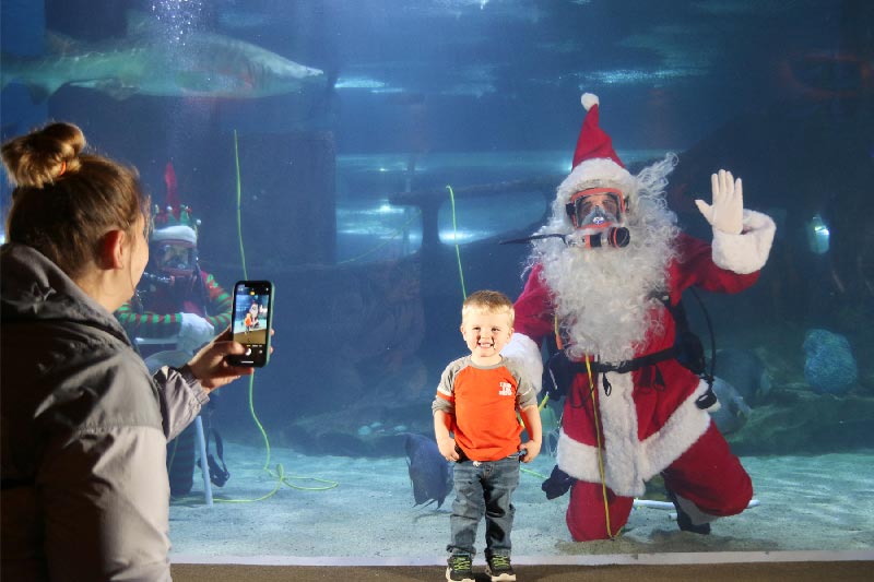 Cleveland Aquarium Christmas event picture with Santa Claus Cleveland Akron Ohio