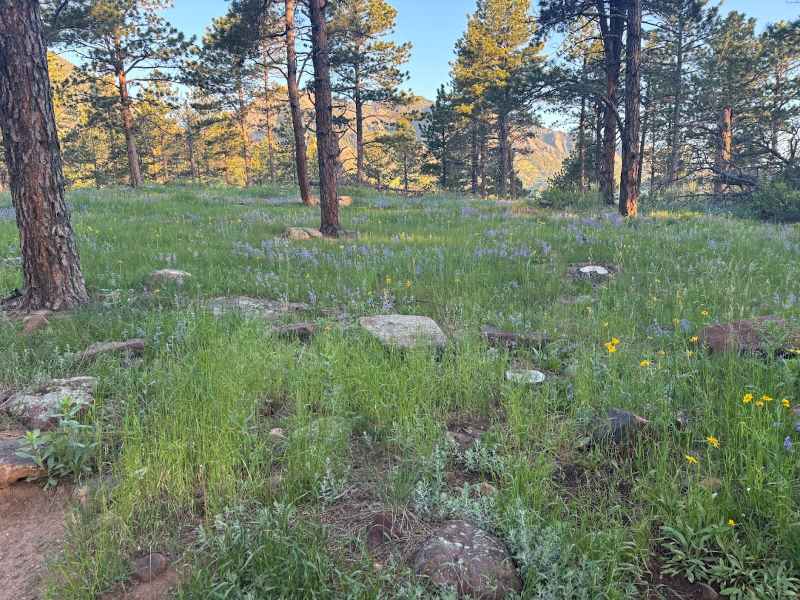5 Can’t‑Miss Colorado Hikes for Summer