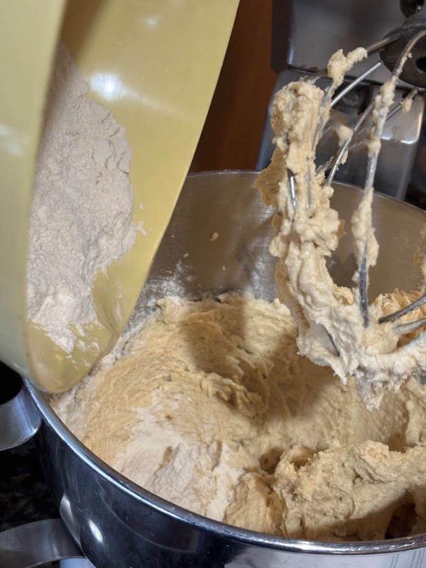 Baking with QI Master for Mushroom Cookies