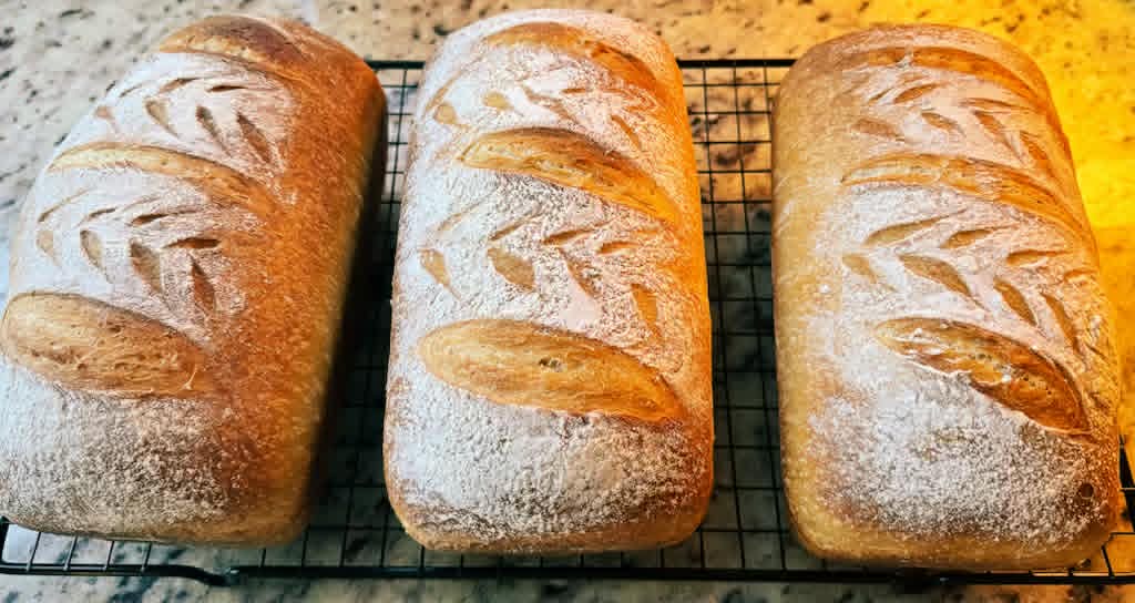 Why Your Grocery Store Sourdough Might Be a Fake - real sourdough bread from Ginger Snaps Bakery in Stow Ohio