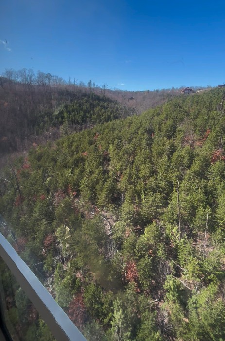 View from Ober Mountain Gatlinburg Tram Cable Car in early Spring.