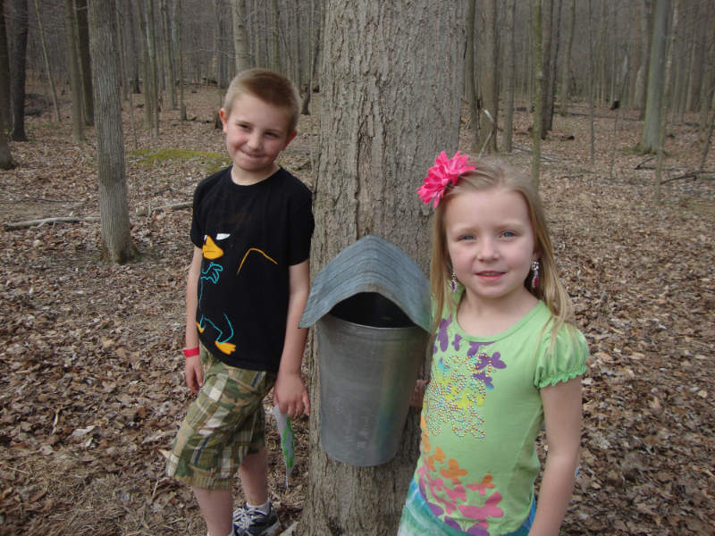 hale farm maple syrup festival ohio