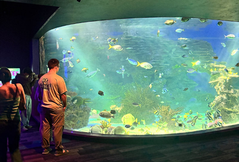 A large, glowing saltwater exhibit at Ripley's Aquarium of the Smokies with families viewing tropical fish.