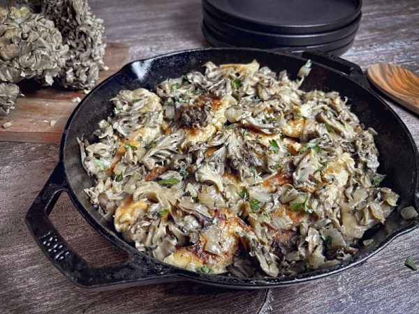 Best Chicken and Wild Mushroom Marsala recipe picture of cooked chicken with mushrooms in a cast iron pan with fresh maitake mushrooms in background