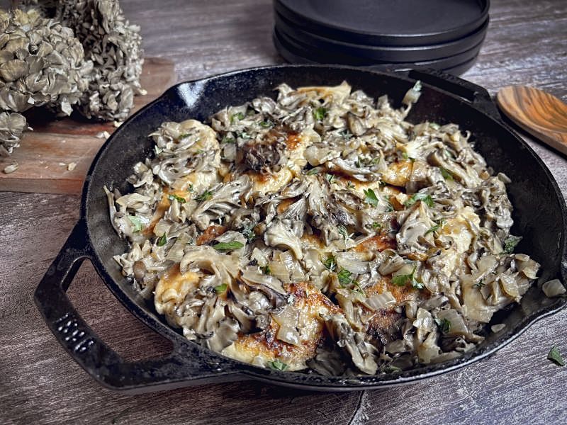 picture of cooked chicken with mushrooms in a cast iron pan with fresh maitake mushrooms in background