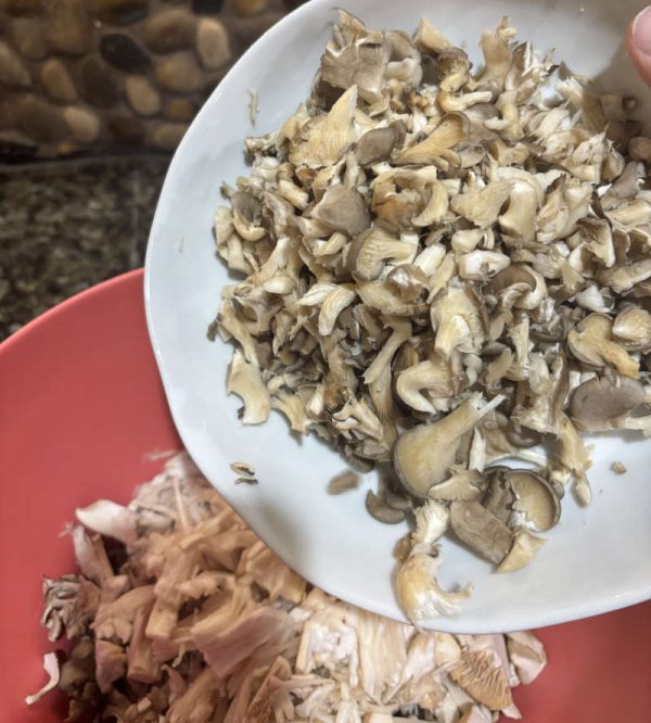 Easy BBQ Pulled Mushroom Sandwiches Vegan Pulled Pork Recipe Chopped Pearl Oyster mushrooms with Hen of the Woods Mushrooms