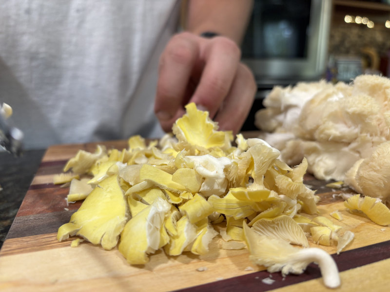 cutting Golden Oyster mushrooms from Caputo & Guest