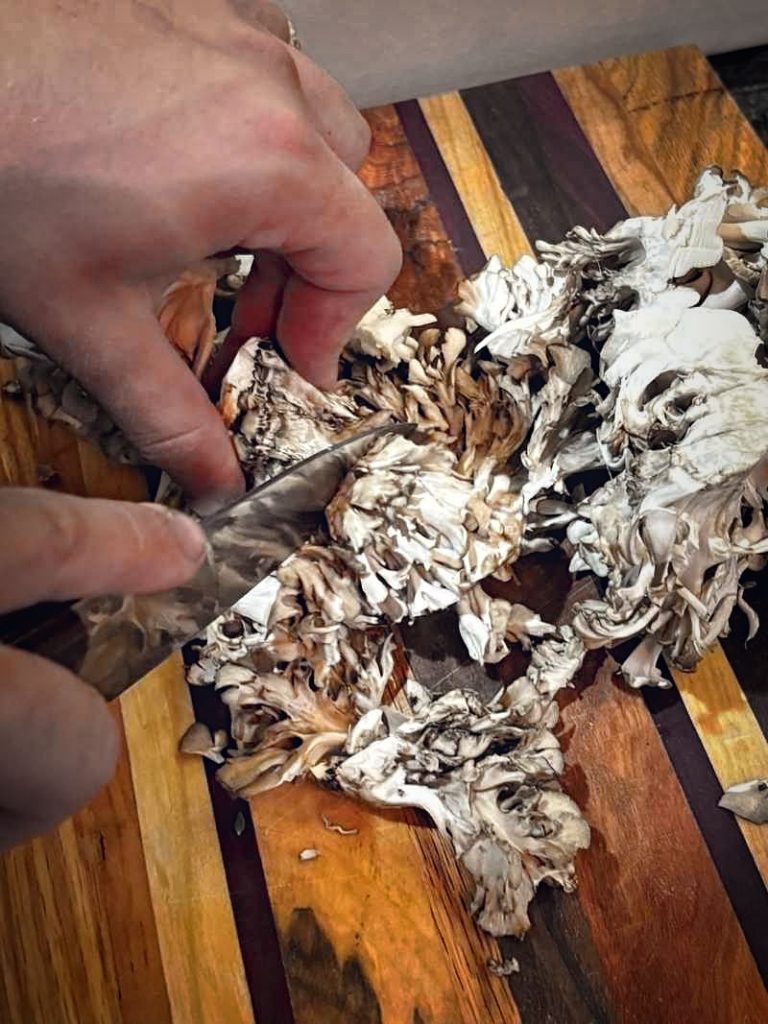 picture cutting Maitake Hen of the Woods mushrooms