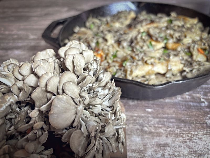 fresh Maitake Hen of the Woods mushrooms for Best Chicken and Wild Mushroom Marsala