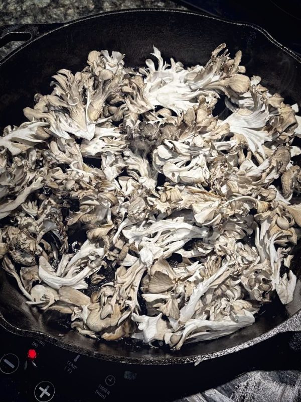 uncooked maitake hen of the woods for Best Chicken and Wild Mushroom Marsala