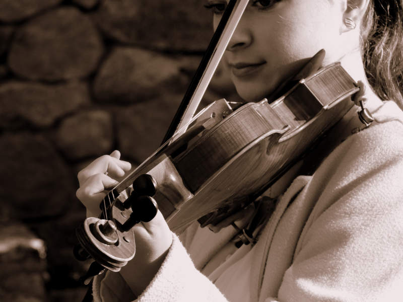 Violin Image by Ada K from Pixabay
