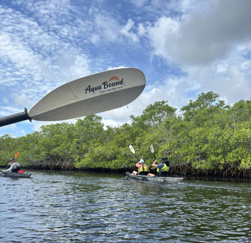 Adventure Paddle Tours Manatees and Mangrove Tunnels tour Review Naples FL Review