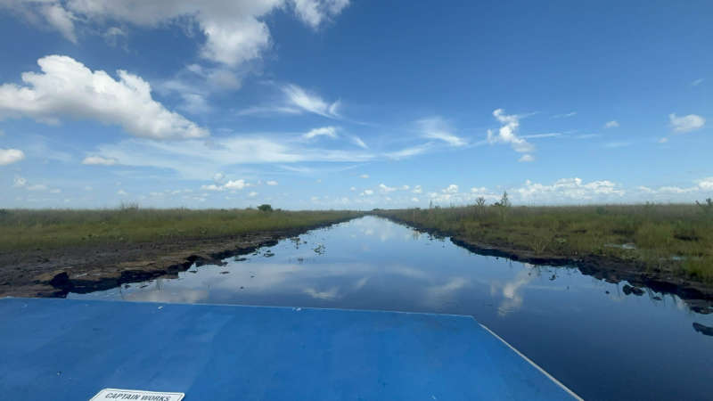 view from Buffalo Tiger Airboat Tours Review - Everglades Alligator Airboat