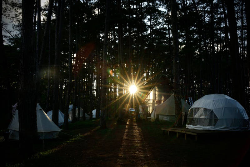 dark camping