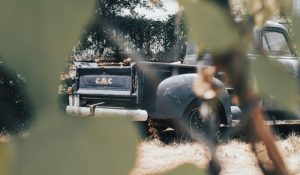 Old GMC truck