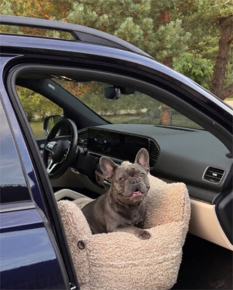 french bulldog in Le Noof car dog bed with pockets