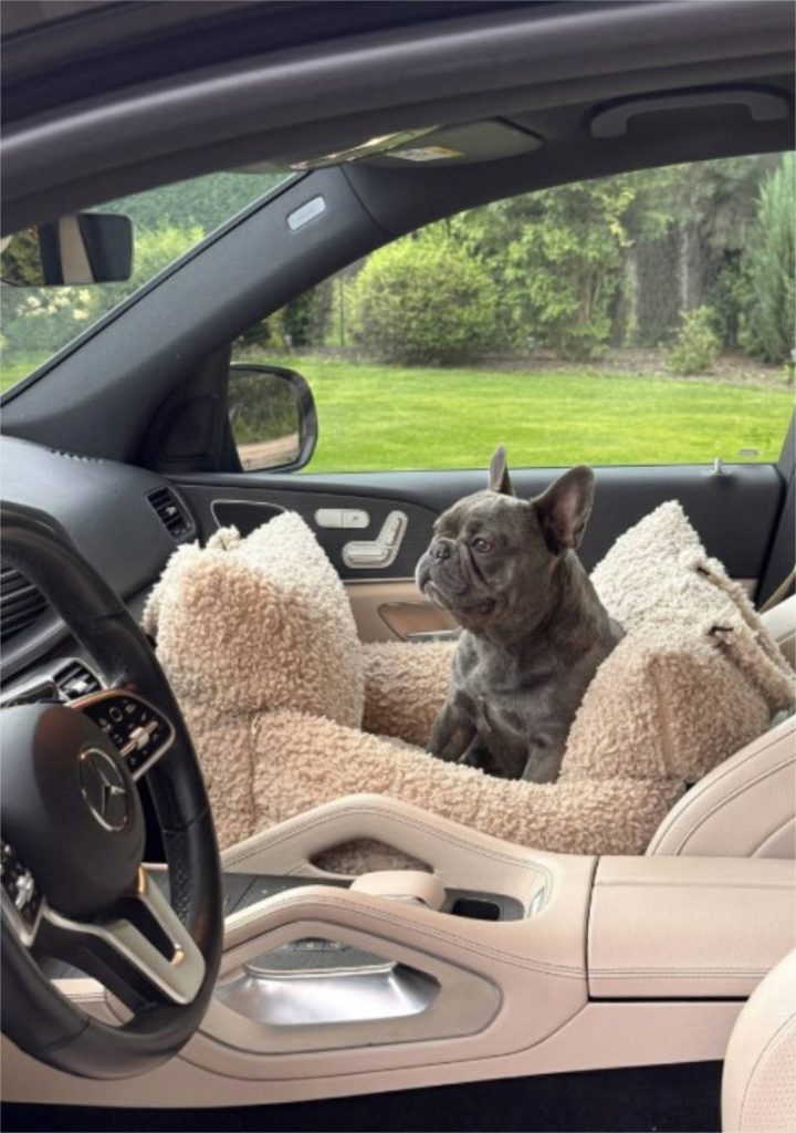 french bulldog in Le Noof dog bed