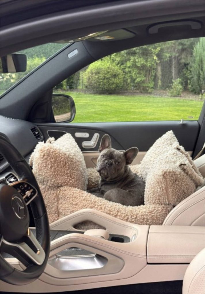french bulldog in  Le Noof dog bed for car