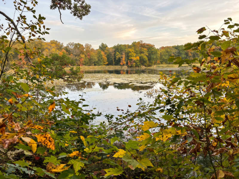 view from trail of Virginia Kendall Lake Cuyahoga Valley National Park Fall Foliage 2026